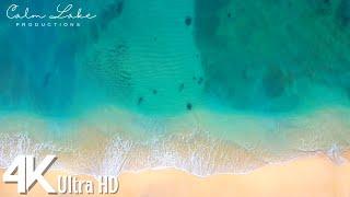 4K Clear Ocean Waves and Sound on White Beach, USA | Relaxing Ambient Piano Music | UHD Nature