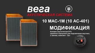 ВЕГА 10 МАС-1М (10 АС-401) БРЗ. #малоярославец