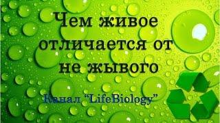 Строение и свойство живых организмов. Чем живое отличается от не жывого