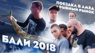 Бали 2018. МахиМахи, Амед, Рыбный Рынок.