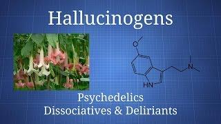 Hallucinogens: How Psychedelics, Dissociatives, & Deliriants Differ