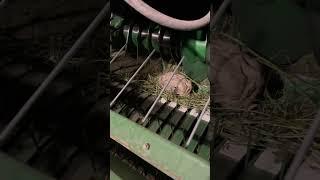 #bales #johndeere #farmer #alfalfa #farm #rock #farming