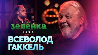 ВСЕВОЛОД ГАККЕЛЬ #Зелёнка lite: Я не люблю мелькать. Аквариум, клуб Тамтам, Эйяфьядлайёкюдль