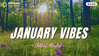 Top Chill TikTok Hits 2025  Smooth Vibes and Catchy Melodies from Spotify   January Vibes 2025