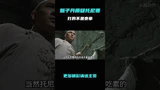 甄子丹质疑托尼贾打的不是泰拳，博伊卡对两人的评价一见分晓