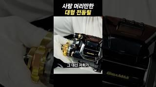 사람 머리 만한 전동릴