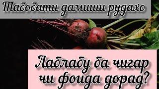 ЛАБЛАБУ. ХОСИЯТХОИ ШИФОБАХШИ ОН БА ОРГАНИЗМ.#лаблабу #камхуни