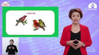 2 класс. Русский язык / Имя существительное как главный член предложения / Телеурок / 21.01.2021