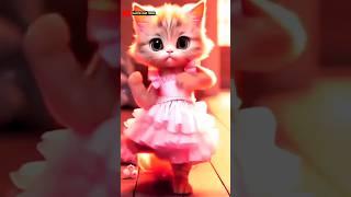 Cat Loves minhaz how to cat funny cats dance amazing cat dance#catdancer #funny #animaldance #shorts