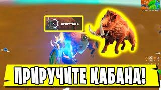 *ПРИРУЧИТЕ КАБАНОВ ЗА ПРЕДЕЛАМИ КОЛОСЯЩЕГОСЯ КОЛИЗЕЯ В Fortnite! 12 НЕДЕЛЯ ИСПЫТАНИЙ 16 СЕЗОН!*