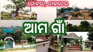 ଆମ ଗାଁ // Our Village // Gobara Talcher #village vlog #sanjayavlogs