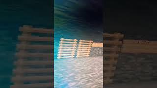 1.19.3 Ip/адрес сервера:MINECRAFT___Server.aternos.me ПОРТ:47959  зайти можно с любого устройства