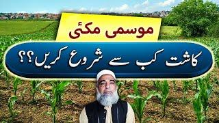 Best sowing time of Autumn Maize || When to cultivate Autumn corn || Crop Reformer