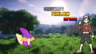 выживание на pixelmon.pro,#1 серия начало .Не заприваченый дом !!!! и 1 первая эволюция