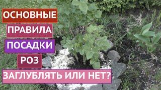 ИНСТРУКЦИЯ ПО ПОСАДКЕ РОЗ! ДЕЛЮСЬ СВОИМИ НАРАБОТКАМИ!