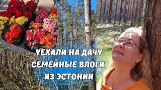 Жизнь семьи в Эстонии.Уехали с мамой на дачу.Дача в Эстонии.Что мы привезли на дачу.Разбираем сетки