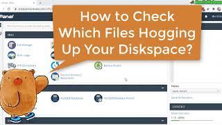 How to Check Files & Folders Disk Space Usage in CPanel Web Hosting Server