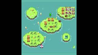 Flight of Pigarus SMS