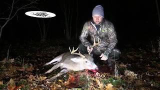 big buck down