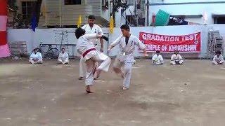 Kyokushin Kids kumite knockout