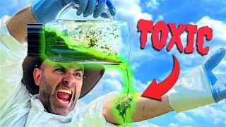 Poison Ivy Smoothie - BIG MISTAKE!