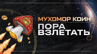 500000$ За час! Мухомор Коин  Да прибудет с нами сила!