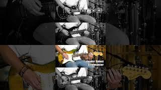 Heir Apparent Guitar Comparison #Guitar #skervesen #gibson #fender #musicman