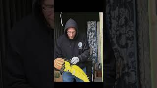 Is this BANANAS!  #shortvideo #shorts
