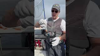 How to catch more Coho salmon when trolling