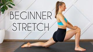 20 MIN BEGINNER FLEXIBILITY ROUTINE (Stretches for the Inflexible)