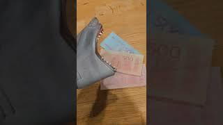 Hungry Hand eats Candy Money! #asmreating #shark #hungrypuppet #meow #funny #hungryhand