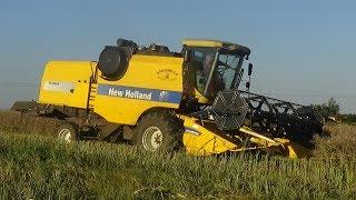 Żniwa Rzepakowe 2017 ! New Holland TC5050 Mafia WielkoPolanie