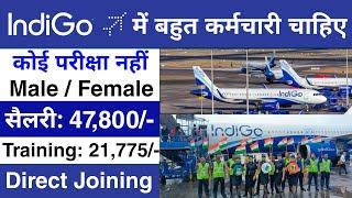 Airport मैं निकली भर्ती || Indigo job vacancy 2024 || Private company job vacancy 2024