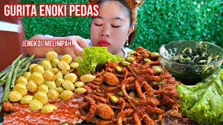 GURITA ENOKI PEDAS..‼️ LALAP JENGKOL MUDA..