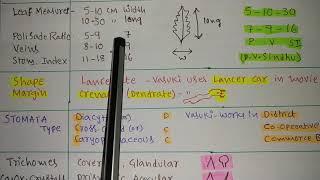 Part 4 Vasaka Leaf Plant Profile With Tricks