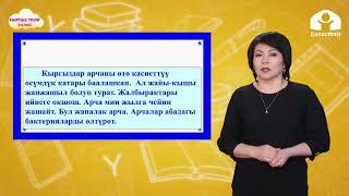 3-класс. КЫРГЫЗ ТИЛИ / Сүйлөмдүн баяндоочу / ТЕЛЕСАБАК / 27.04.21