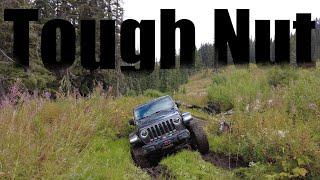 Tough Nut
