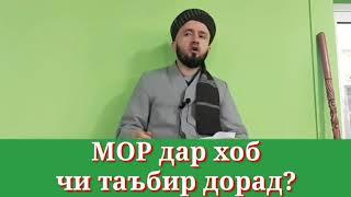 МОР дар хоб чи маъно дорад. Домулло Абдулкодир