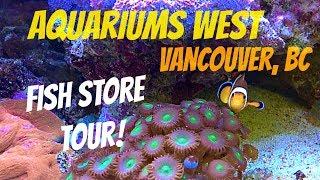 Fish Store Tour of Aquariums West in Vancouver, BC