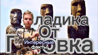 Интерфакт и готовка