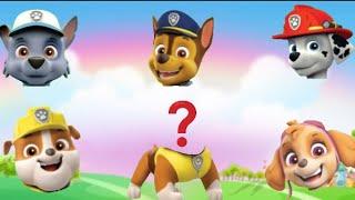 Wrong heads paw patrol 2