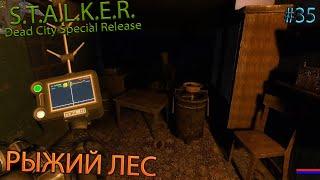 РЫЖИЙ ЛЕС | S.T.A.L.K.E.R. Dead City Special Release | Серия 35