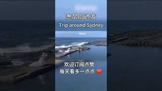 悉尼周邊游 Trip around Sydney #￼悉尼 #旅遊 #海外生活 #Sydney #teavelvlog