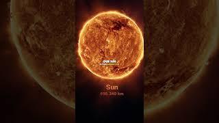 Joe Rogan Shocked By Other Suns