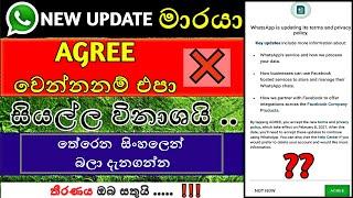 WhatsApp privacy policy update in sinhala | 2021 | (WhatsApp මාරයා)