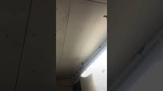 How to hang drywall #construction #renovation #drywall #commercial