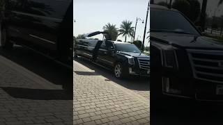 Luxury Limousine Ride |Dubai life| #shorts #ytshorts