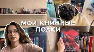 Обзор на КНИЖНЫЕ ПОЛКИ Рассказываю про ВСЕ МОИ КНИГИ и делаю небольшой АНХОЛ