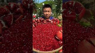 Lychee and delicious fresh fruit  #shorts #nature #fruit