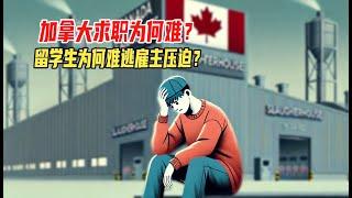 加拿大求职有多难？为何留学生、工签都难逃雇主压迫？